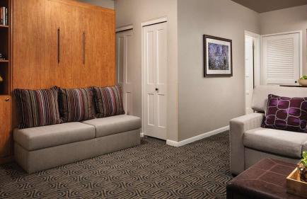 Marriott's StreamSide - Birch Studio Apartment with Resort Access - Foto 10