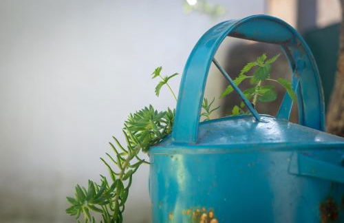 Casa do Guardado - Foto 69