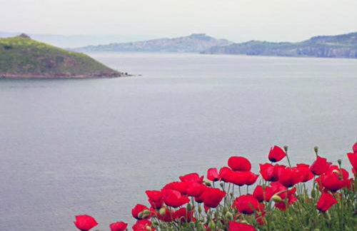 Birds Bay Resort - Photo 10