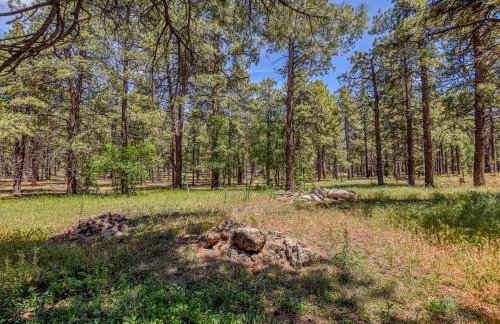 The Ponderosa Scenic Forest Views Fire Pit BBQ Pet-Friendly Now with Wi-Fi - Photo 30