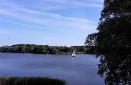 Ferienhäuser Pannier I und oder II - Foto 31