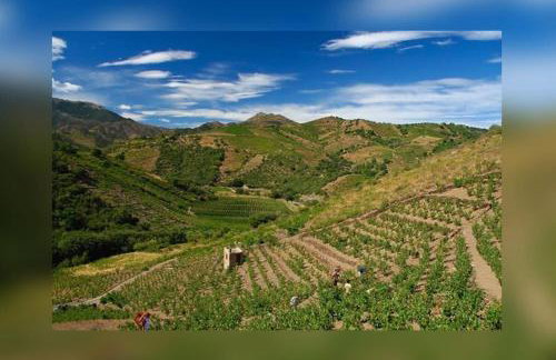 Vue mer, crique de Peyrefite, Cerbère-Banyuls. - Foto 38