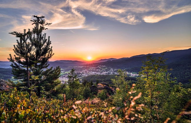 Am Weberfeld, Bodenmais - Foto 44