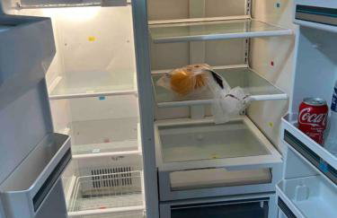 Spacious peaceful rm in home No Car No problem - Foto 18