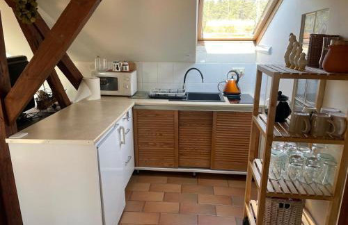 Dzika Foka Wiosłowa 49 - Photo 25