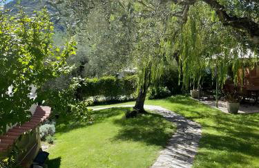 Salice Felice - Foto 1