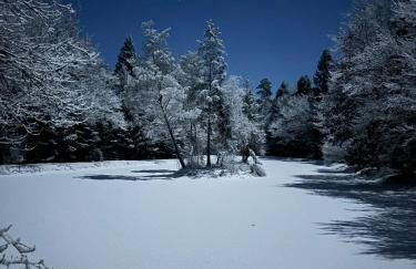 Chalet - gîte avec étang - Foto 19