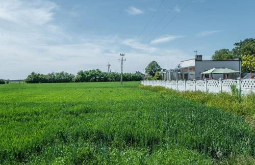 Domek Gościnny Czempion - Foto 16