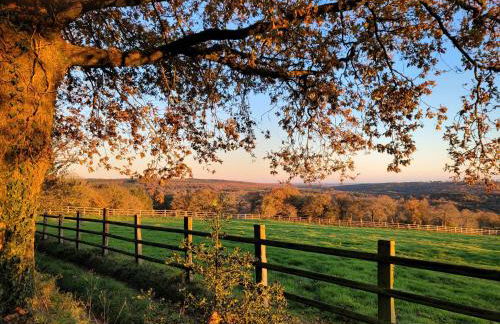 Le Cottage de la Doucette - Foto 21