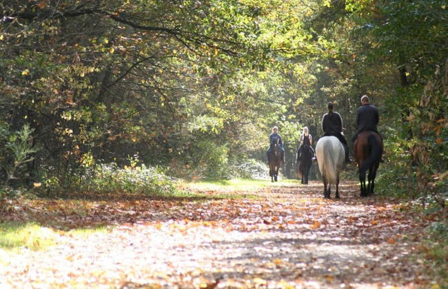 Hengelhoef Park Apartment - Foto 39