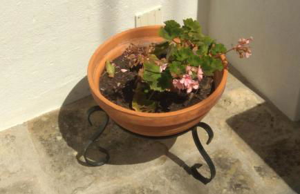 Casa Mateus - Colares, Parque Natural Sintra Cascais - Foto 24