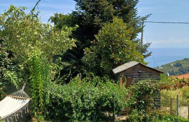 Efi's Guest House - Foto 52