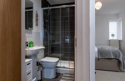 Seahorses - Photo 13