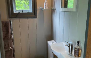 Greatwood Shepherds Hut - Foto 11