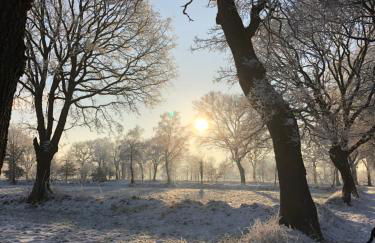 Gut Strackholt FeWo Seemannsgarn - Foto 22