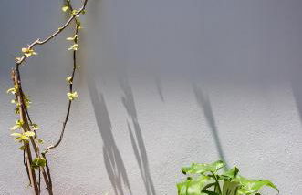 The backyard- Κατοικία στην Αγριά, Βόλου - Foto 26