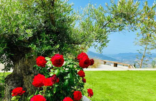 La Casa de Cristal - Alpujarra Escape - Foto 35