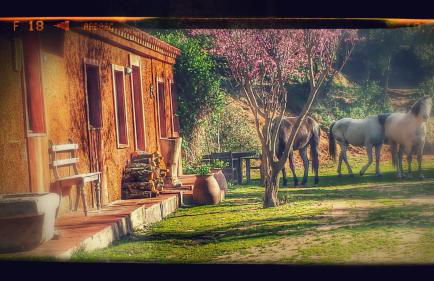 El Solei Paraiso en el Montseny - Foto 18