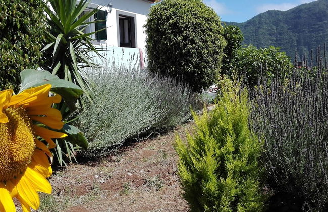 Grannys Farm - Foto 38