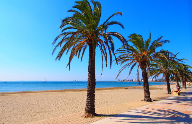 Royal Marine - Foto 13