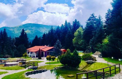 ECO VILLA OLYMPUS with sauna and swimming pool - Foto 6