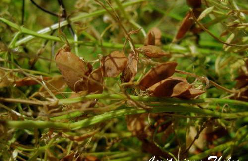 Agriturismo Tholos - Photo 31