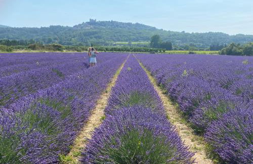 Maison Plume en Provence - Foto 43