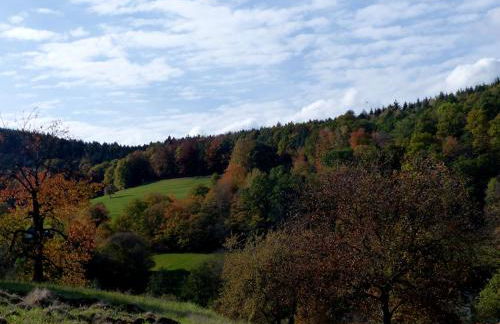 Au chalet de JO avec accès à l'espace piscine et jacuzzi - Foto 4
