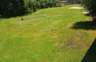 Serenity Retreat near Camp Lejeune & Beaches - Foto 10