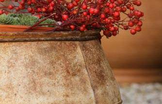 La ferme de Berlioz - Foto 33