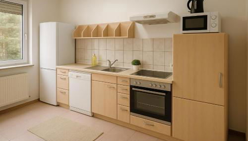 SUNNYHOME Monteurwohnungen und Apartments in Bodenwöhr - Foto 4