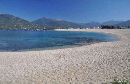 T2 d'exception 100m plage terrasse vue mer et montagnes - Foto 8