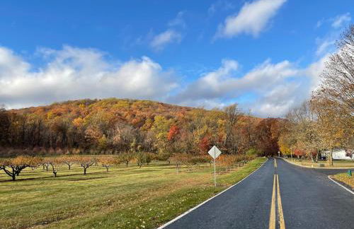 Entire Mountain Cottage Near Scenic Hiking Trails - Photo 31