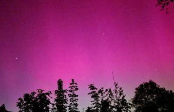 Refugium aus Vollholz - Foto 22