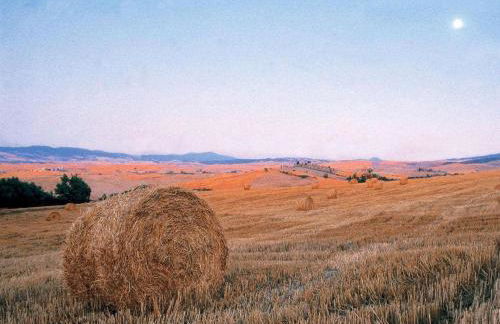 Casa T&G apartment, near Siena, in Chianti, Tuscany - Foto 48