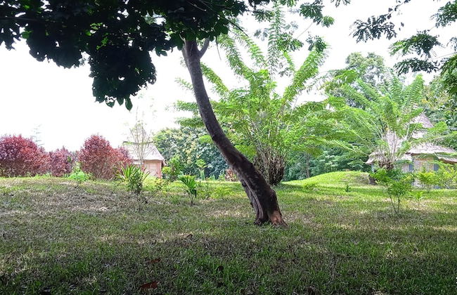 Refuge du Mont Agou - Photo 24