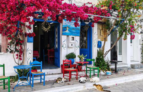 Old Villa Ormos - Photo 3