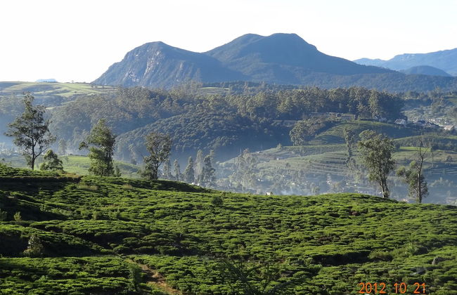 Senani Colonial Holiday Bungalow - Foto 31