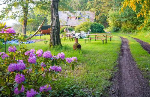 Naturraum - Wellness Oase am Mittelrheintal - Foto 13