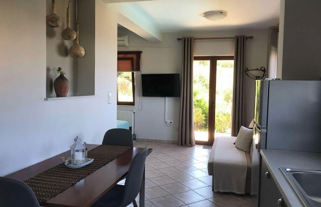 Andromia Studios - Foto 24