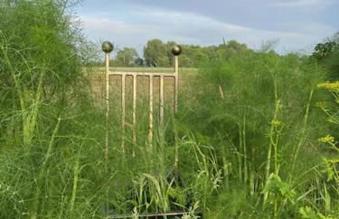 Haus Rungholt - Foto 44