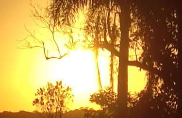 Apartamento 103 Praia do Ervino - SFS - Photo 44