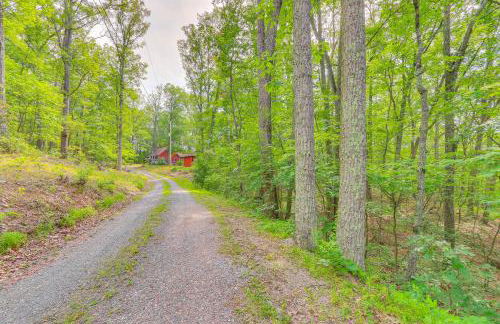 Cozy Appalachian Getaway 5 Mi to Prospect Peak! - Photo 45