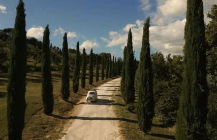 Poggio 3 Lune - Foto 11