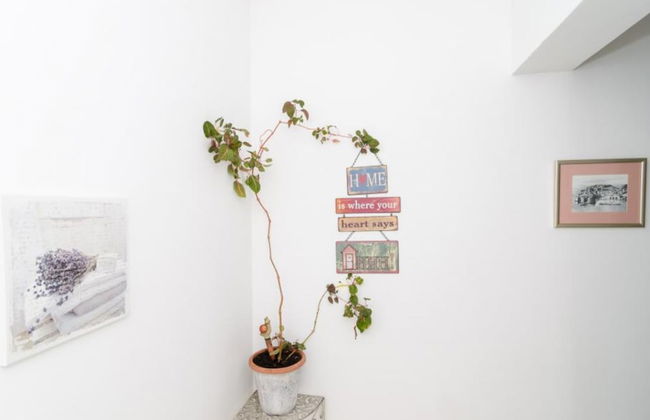 Ivo Guest House - Foto 22