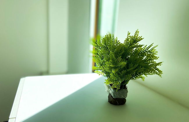 Beverly Hills no Porto das Dunas - Photo 37