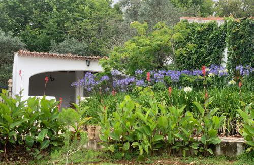 Quinta dos Girassóis FZ - Foto 17