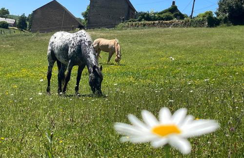 The Place to Be - Foto 15