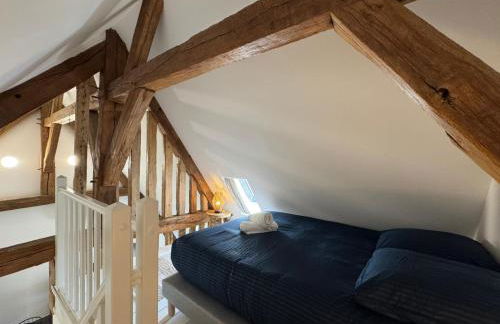 Parc de l'Orangerie - Foto 16