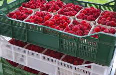 Apartament pod laskiem - Foto 15